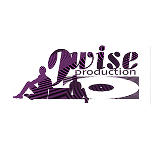 2wise Productions